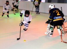 Eishockey-Club-Die-Pinguine_4-1024x746.jpg