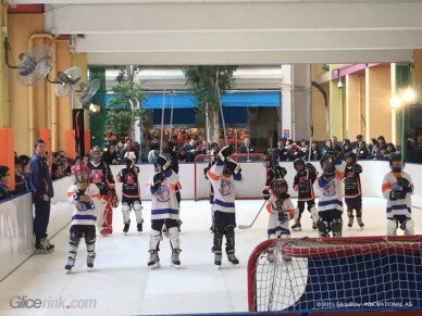 HockeySchool-015-3-1024x768.jpg