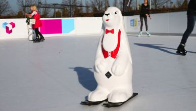 sport.aktiv Messe Erfurt